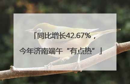 同比增长42.67%，今年济南端午“有点热”