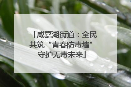 咸嘉湖街道：全民共筑“青春防毒墙” 守护无毒未来