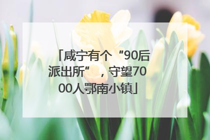 咸宁有个“90后派出所”，守望7000人鄂南小镇