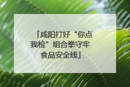 咸阳打好“你点我检”组合拳守牢食品安全线