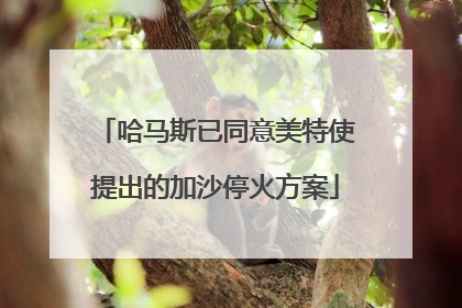 哈马斯已同意美特使提出的加沙停火方案