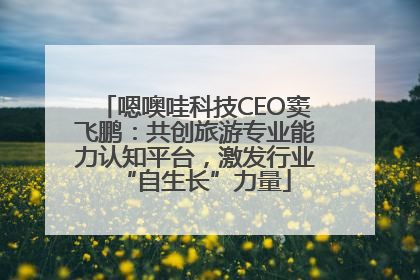 嗯噢哇科技CEO窦飞鹏：共创旅游专业能力认知平台，激发行业“自生长”力量