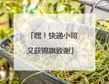 嘿！快递小哥又获锦旗致谢