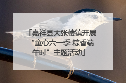 嘉祥县大张楼镇开展“童心六一季 粽香端午时”主题活动