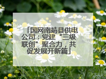 国网南靖县供电公司：党建“三级联创”聚合力，共促发展开新篇