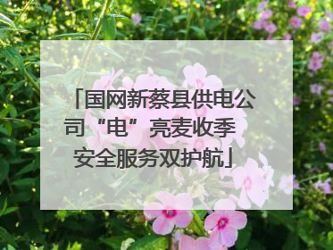 国网新蔡县供电公司“电”亮麦收季 安全服务双护航