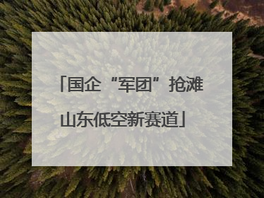 国企“军团”抢滩山东低空新赛道