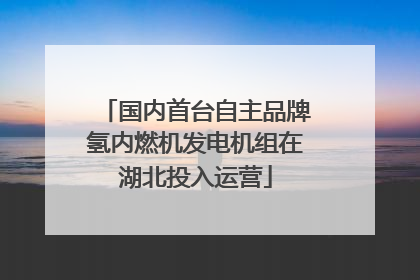 国内首台自主品牌氢内燃机发电机组在湖北投入运营