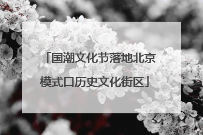 国潮文化节落地北京模式口历史文化街区