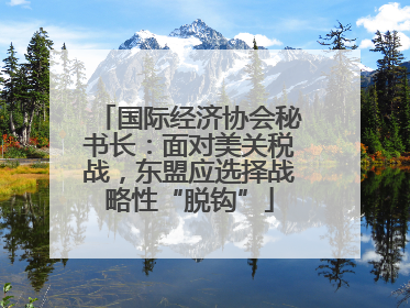 国际经济协会秘书长：面对美关税战，东盟应选择战略性“脱钩”