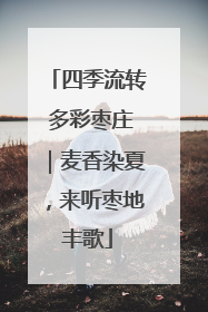 四季流转 多彩枣庄｜麦香染夏，来听枣地丰歌