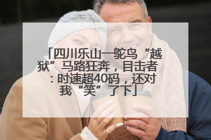 四川乐山一鸵鸟“越狱”马路狂奔，目击者：时速超40码，还对我“笑”了下
