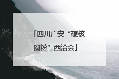 四川广安“硬核圈粉”西洽会