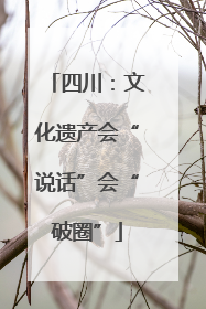 四川：文化遗产会“说话”会“破圈”