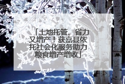 土地托管、省力又增产！获嘉县依托社会化服务助力粮食增产增收