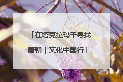 在塔克拉玛干寻找唐朝｜文化中国行