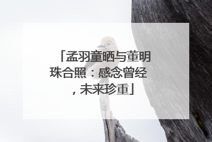 孟羽童晒与董明珠合照：感念曾经，未来珍重