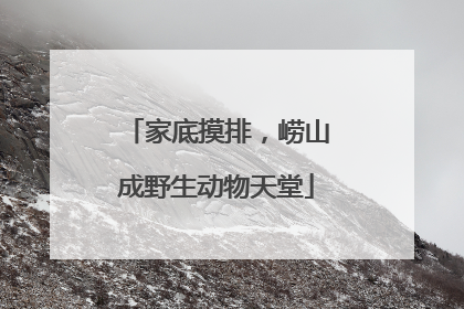 家底摸排，崂山成野生动物天堂