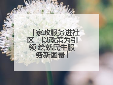 家政服务进社区：以政策为引领 绘就民生服务新图景