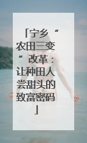 宁乡“农田三变”改革：让种田人尝甜头的致富密码