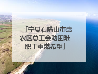 宁夏石嘴山市惠农区总工会助困难职工重燃希望