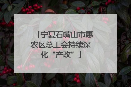 宁夏石嘴山市惠农区总工会持续深化“产改”