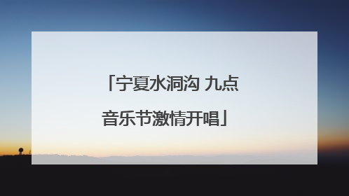 宁夏水洞沟 九点音乐节激情开唱