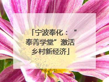 宁波奉化：“奉菁学堂”激活乡村新经济