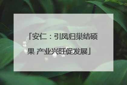 安仁：引凤归巢结硕果 产业兴旺促发展