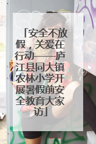 安全不放假，关爱在行动——庐江县同大镇农林小学开展暑假前安全教育大家访