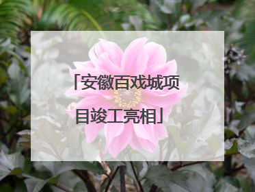 安徽百戏城项目竣工亮相