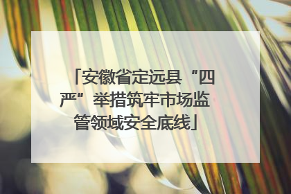 安徽省定远县“四严”举措筑牢市场监管领域安全底线