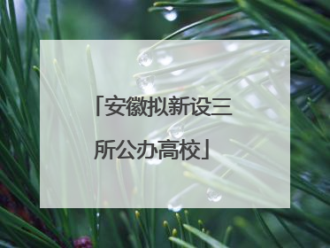 安徽拟新设三所公办高校