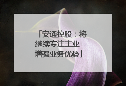 安通控股：将继续专注主业 增强业务优势