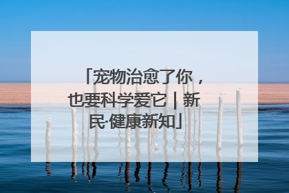 宠物治愈了你，也要科学爱它｜新民·健康新知
