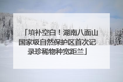 填补空白！湖南八面山国家级自然保护区首次记录珍稀物种宽距兰