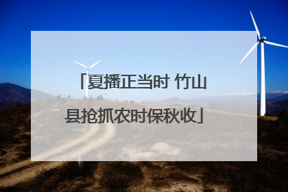 夏播正当时 竹山县抢抓农时保秋收