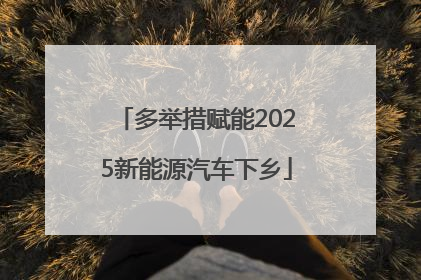 多举措赋能2025新能源汽车下乡