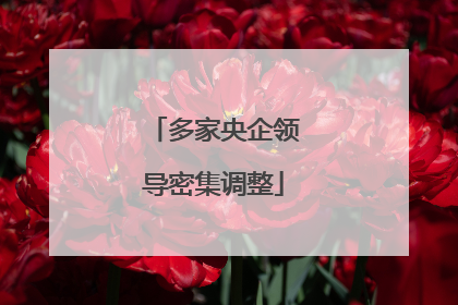 多家央企领导密集调整