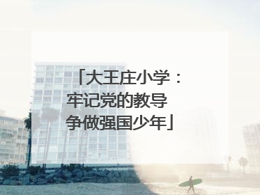 大王庄小学：牢记党的教导 争做强国少年