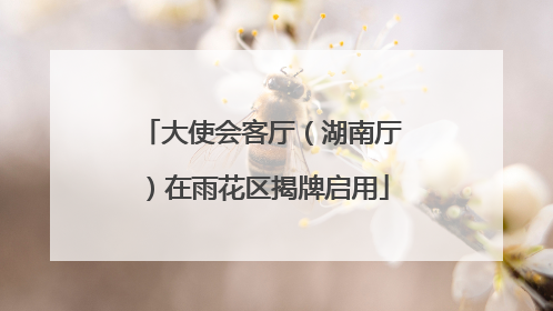 大使会客厅（湖南厅）在雨花区揭牌启用