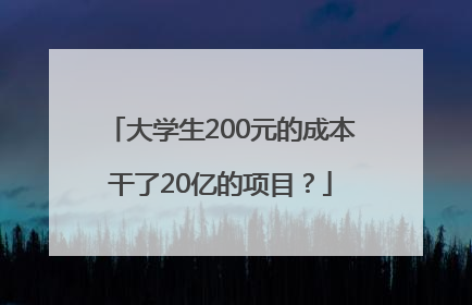大学生200元的成本干了20亿的项目？