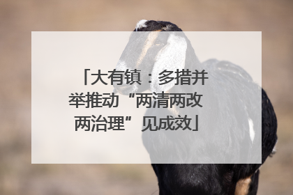 大有镇：多措并举推动“两清两改两治理”见成效