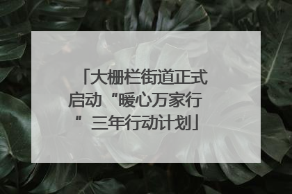 大栅栏街道正式启动“暖心万家行”三年行动计划