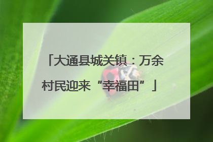 大通县城关镇：万余村民迎来“幸福田”