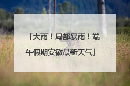大雨！局部暴雨！端午假期安徽最新天气