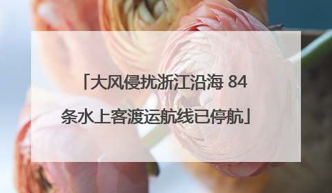 大风侵扰浙江沿海 84条水上客渡运航线已停航