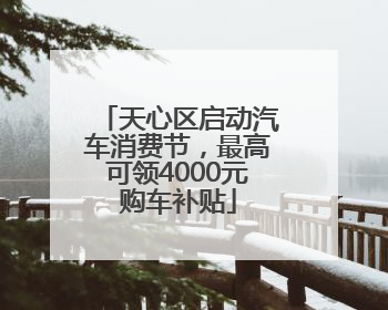 天心区启动汽车消费节，最高可领4000元购车补贴