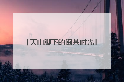 天山脚下的闽茶时光