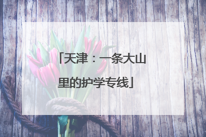 天津：一条大山里的护学专线
